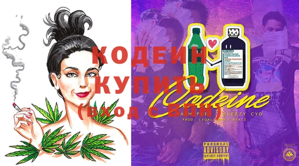 прущие грибы Алзамай