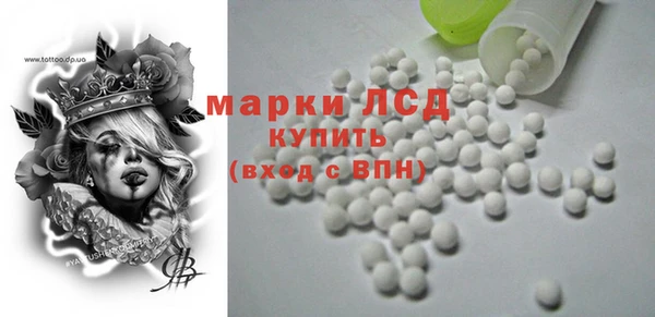 прущие грибы Алзамай