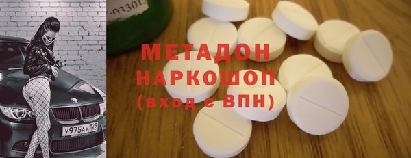 прущие грибы Алзамай