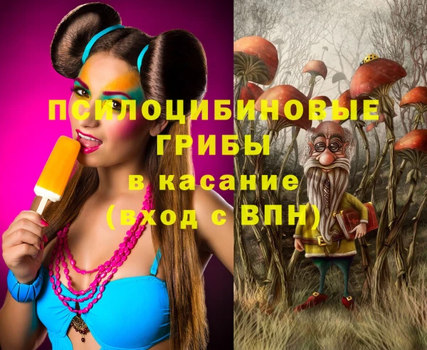 бутират Алексеевка