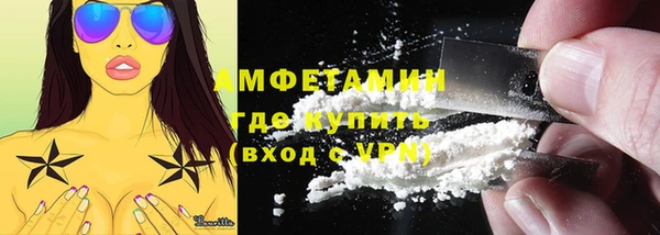 мет Алексин
